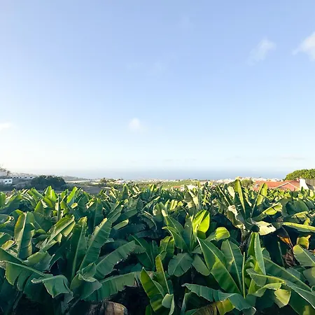 Villa Sunset Banana Plantation House With Sea Views And Private Pool *